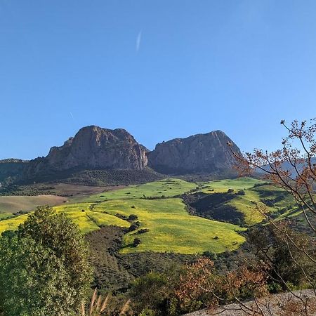 Cortijo Sylvestre Bed and Breakfast Ríogordo Eksteriør billede