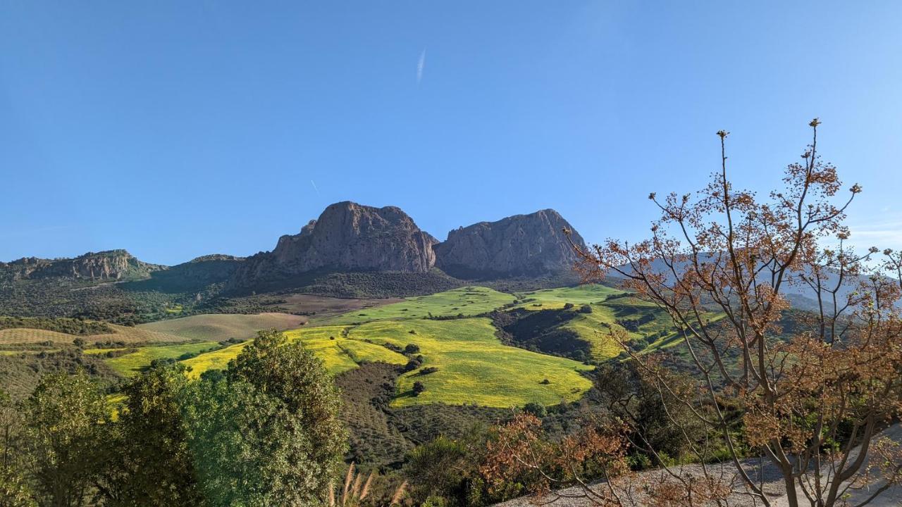 Cortijo Sylvestre Bed and Breakfast Ríogordo Eksteriør billede
